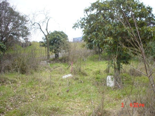 Terreno edificabile Via Locana, Roma (zona Valle Santa) - foto 1