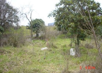 Terreno edificabile Via Locana, Roma (zona Valle Santa) - foto 1