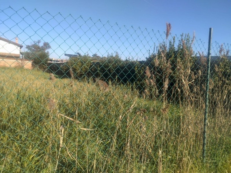 Terreno edificabile Via Angelo maffei, Roma (zona Ostia Antica) - foto 3