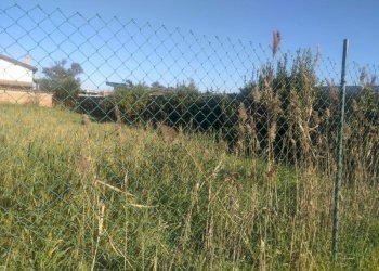 Terreno edificabile Via Angelo maffei, Roma (zona Ostia Antica) - foto 3