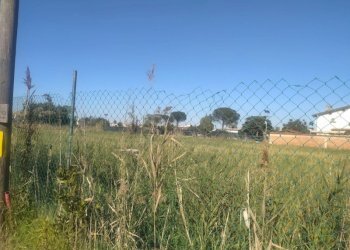 Terreno edificabile Via Angelo maffei, Roma (zona Ostia Antica) - foto 5