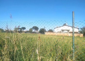 Terreno edificabile Via Angelo maffei, Roma (zona Ostia Antica) - foto 6