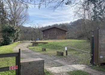 Casa indipendente Via Canalecchio, Monzuno (zona Corticella) - foto 8