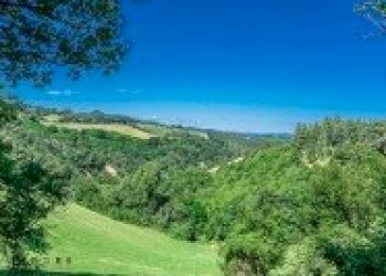 Terreno edificabile Via Lagune, Sasso Marconi - foto 1