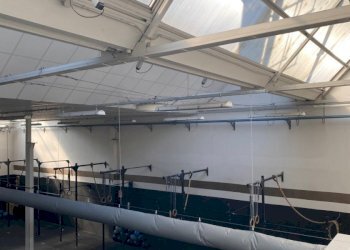 Capannone Via I maggio, Sasso Marconi - foto 14