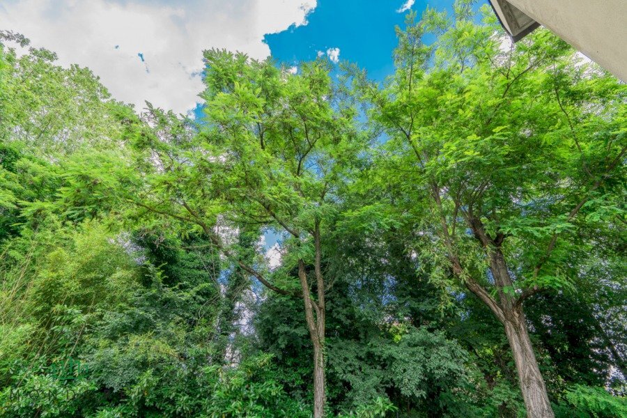 Villa via san lorenzo, Sasso Marconi - photo 3