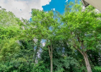 Villa via san lorenzo, Sasso Marconi - foto 3