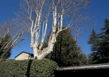 Casa indipendente via dell'orologio, Sasso Marconi - foto 8