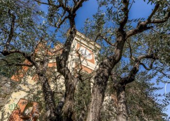 Casa indipendente via dell'orologio, Sasso Marconi - foto 19