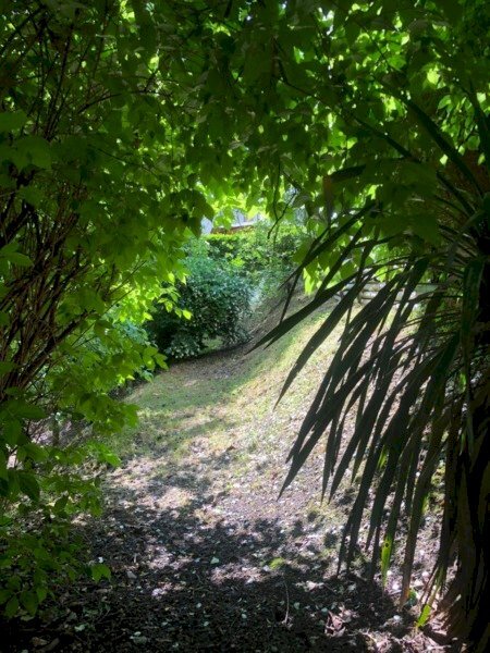 Terreno edificabile VIA PORRETTANA, Sasso Marconi - foto 2