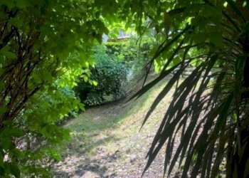 Terreno edificabile VIA PORRETTANA, Sasso Marconi - foto 2