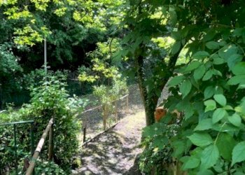 Terreno edificabile VIA PORRETTANA, Sasso Marconi - foto 6