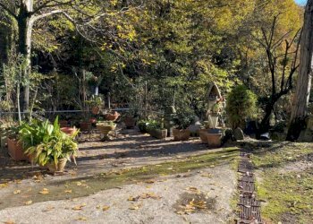 Terreno edificabile VIA PORRETTANA, Sasso Marconi - foto 11