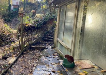 Terreno edificabile VIA PORRETTANA, Sasso Marconi - foto 12