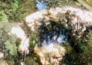 Terreno edificabile VIA PORRETTANA, Sasso Marconi - foto 13