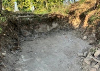 Rustico pieve del pino, Sasso Marconi - foto 6