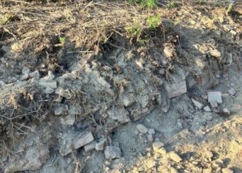 Rustico pieve del pino, Sasso Marconi - foto 8