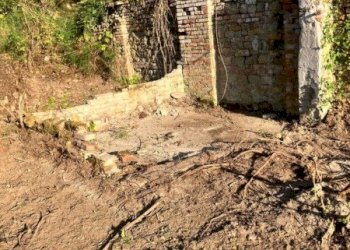 Rustico pieve del pino, Sasso Marconi - foto 10