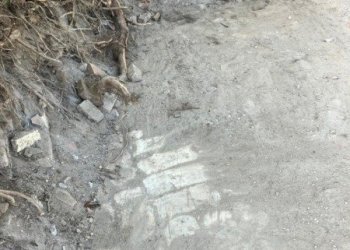 Rustico pieve del pino, Sasso Marconi - foto 13