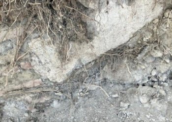 Rustico pieve del pino, Sasso Marconi - foto 14