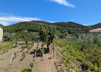 Villa contrada rio, 13, frazione Contrada Santo Spirito, Isernia - foto 10