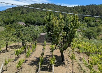 Villa contrada rio, 13, frazione Contrada Santo Spirito, Isernia - foto 12