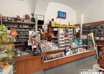 Locale Commerciale Lauriano - foto 8