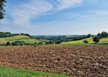Porzione di casa Imola - foto 8
