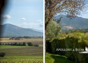 Quadrilocale SSP 27, 13, Castiglion Fiorentino - foto 31