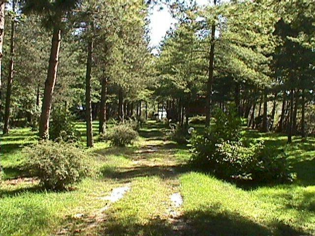 Zona - Rustico via Roma, Biandronno - foto 3