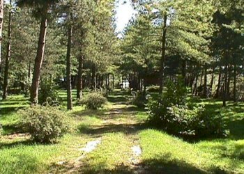 Zona - Rustico via Roma, Biandronno - foto 3