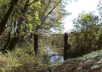 Terreno - Rustico via Roma, Biandronno - foto 6