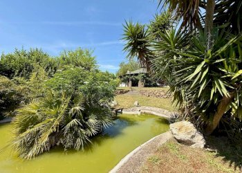 Giardino - Villa via Lamberto Vignoli, Roma - foto 30