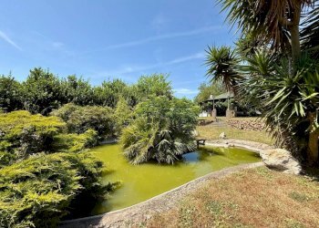 Giardino - Villa via Lamberto Vignoli, Roma - foto 12