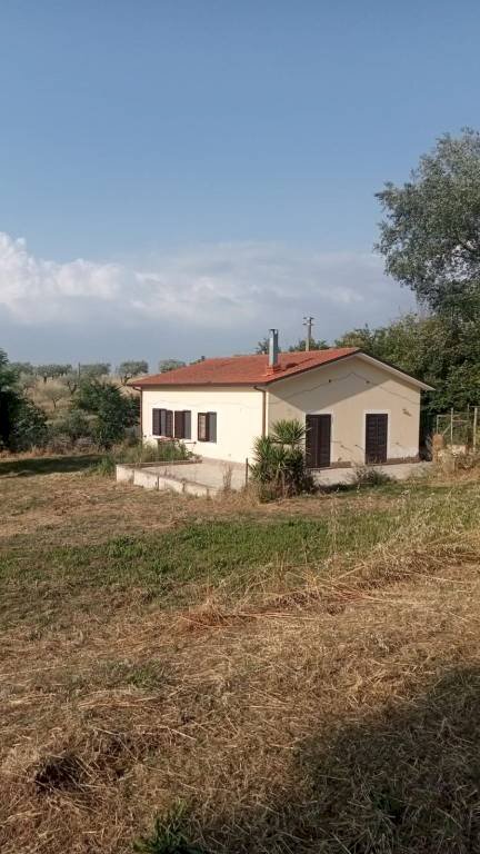 Terreno - Villa contrada Iannassi, San Nicola Manfredi - photo 3