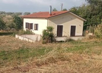 Terreno - Villa contrada Iannassi, San Nicola Manfredi - foto 7