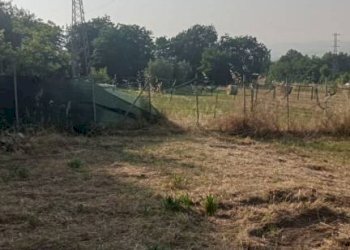 Terreno - Villa contrada Iannassi, San Nicola Manfredi - foto 10