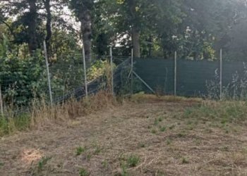 Terreno - Villa contrada Iannassi, San Nicola Manfredi - foto 11