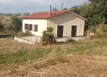 Terreno - Villa contrada Iannassi, San Nicola Manfredi - foto 12
