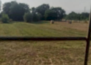 Terreno - Villa contrada Iannassi, San Nicola Manfredi - foto 16