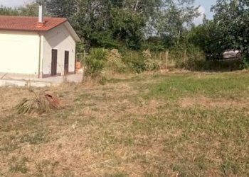 Terreno - Villa contrada Iannassi, San Nicola Manfredi - foto 19