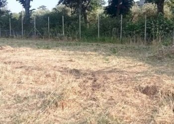 Terreno - Villa contrada Iannassi, San Nicola Manfredi - foto 20