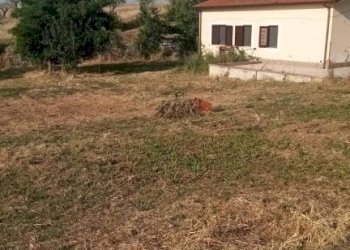 Terreno - Villa contrada Iannassi, San Nicola Manfredi - foto 25