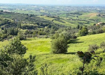 Vista - Terreno edificabile via Timo, Saludecio - foto 6