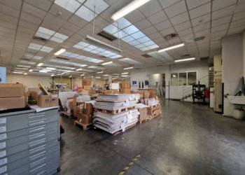 Magazzino - Capannone via Milano, Baranzate - foto 14