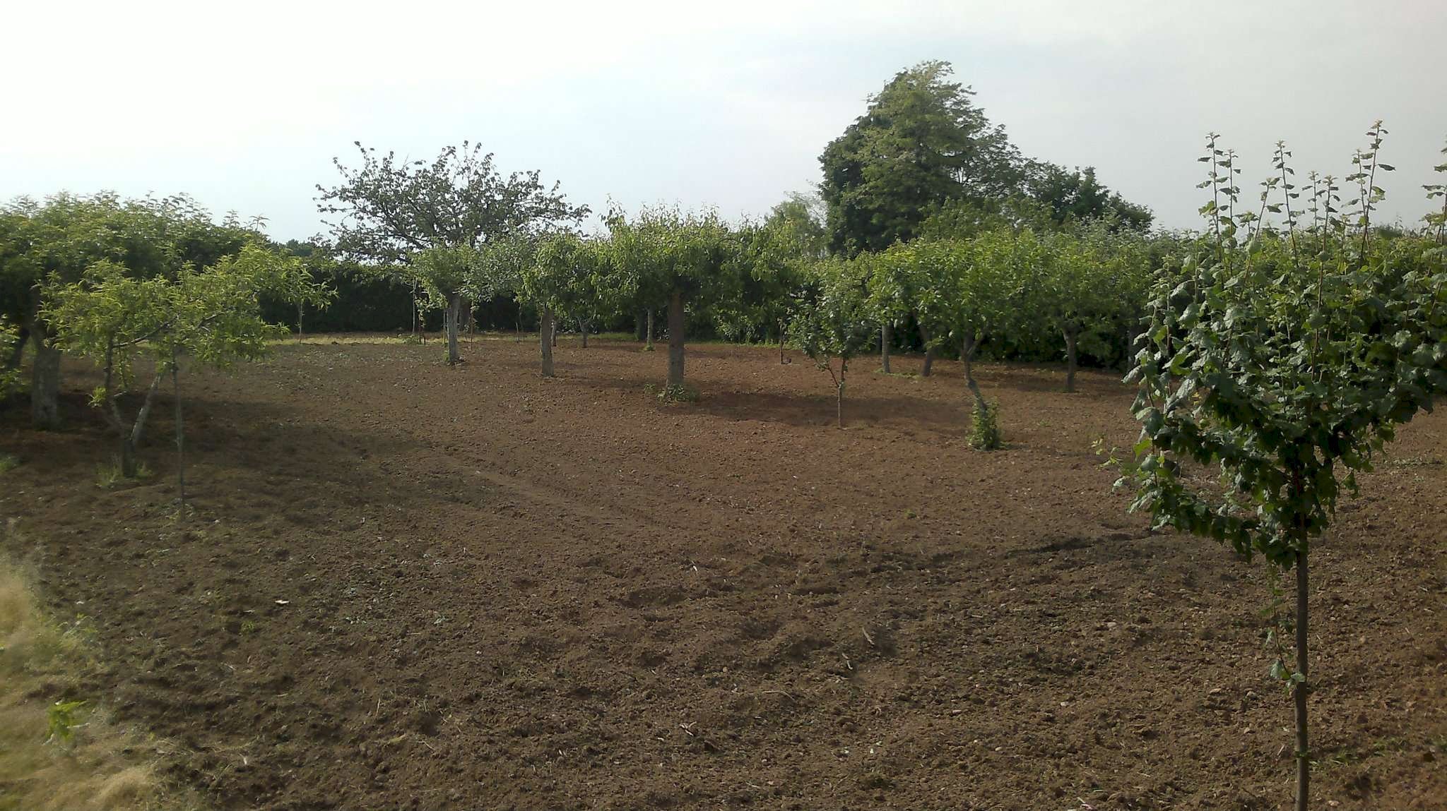 bilo caronno 75000 037 - Building land via montebianco, 11, Garbagnate Milanese - photo 3