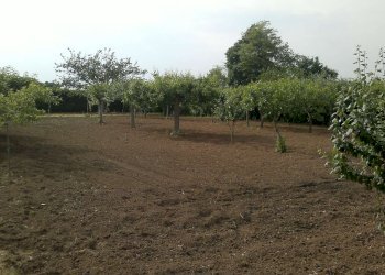 bilo caronno 75000 037 - Terreno edificabile via montebianco, 11, Garbagnate Milanese - foto 3