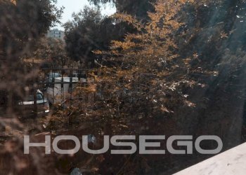 Zona - Appartamento via Luigi Rizzo, 155, Genova (zona Pegli) - foto 20