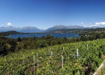 6 - Altro Moniga del Garda - foto 4