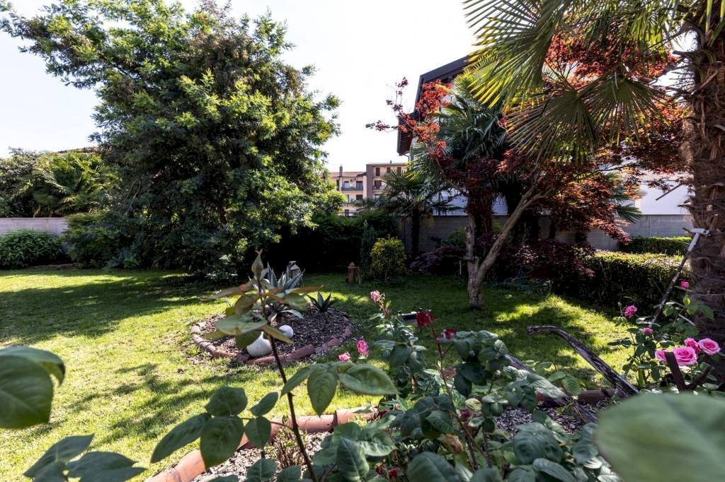 Giardino - Villa via Madonna delle Grazie, 46, Trecate - foto 3